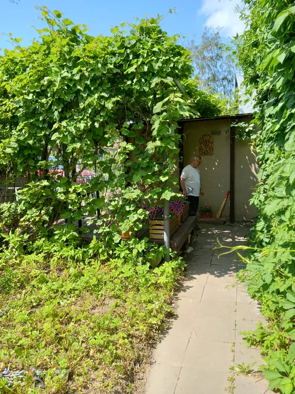 Домик с сауной