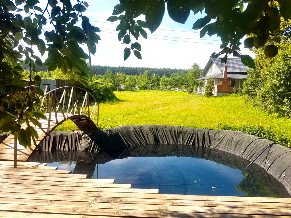 Коттедж Дом с камином, прудом и красивым закатом — Крюково