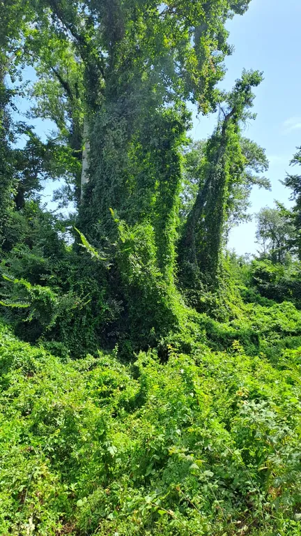 Дом возле моря