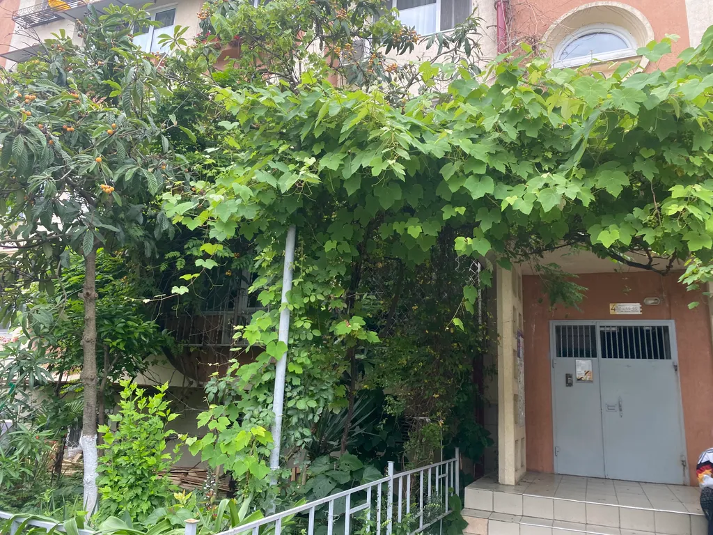 Квартира 1-комнатная Квартира — Адлер