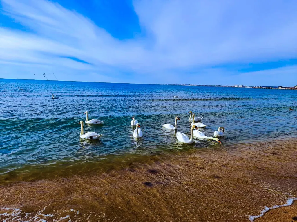 Квартира Квартира Улучшенный номер Люкс с балконом с видом на море — Анапа