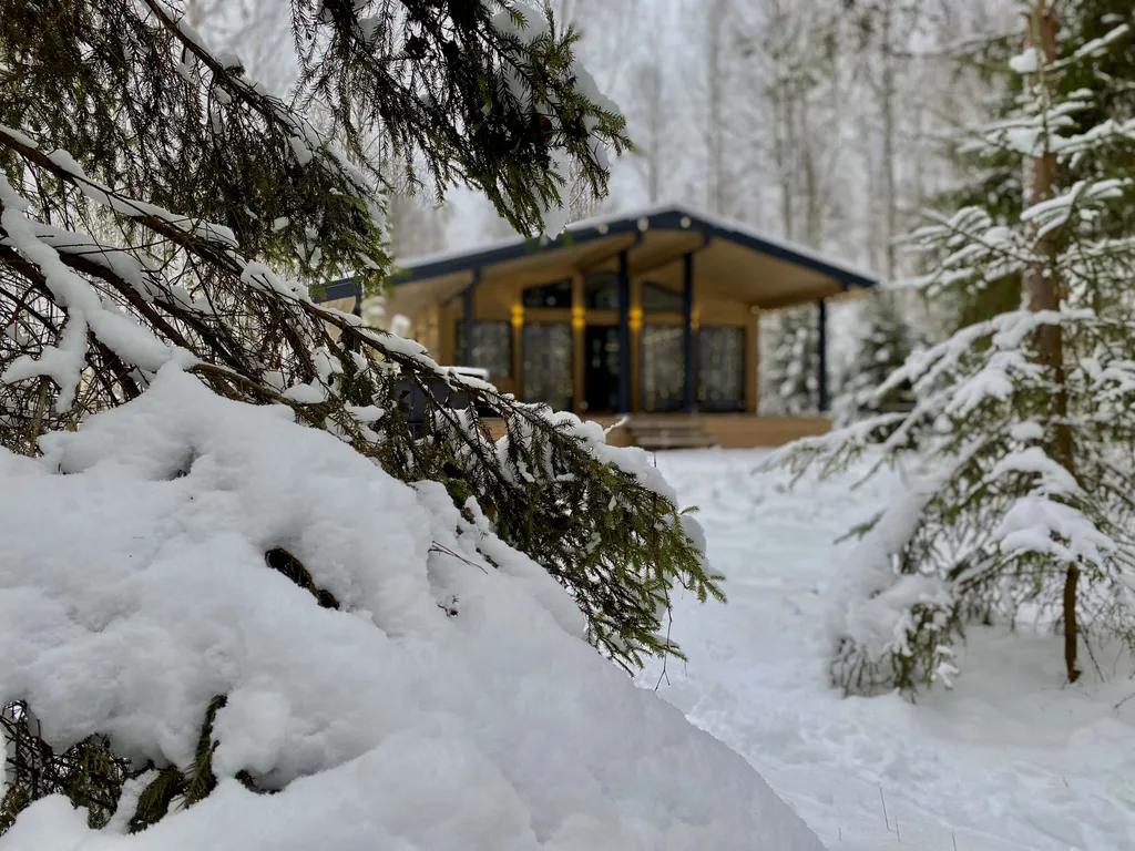 Эко-дом с панорамными окнами #1