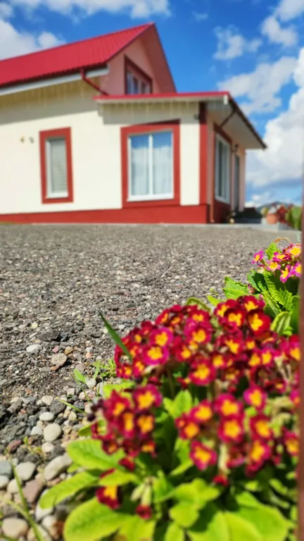 Агроусадьба с баней, на реке Птичь под Минском, с прудом