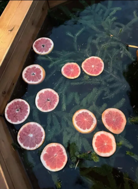 Загородный дом с баней, чаном и беседкой Kislorod O2