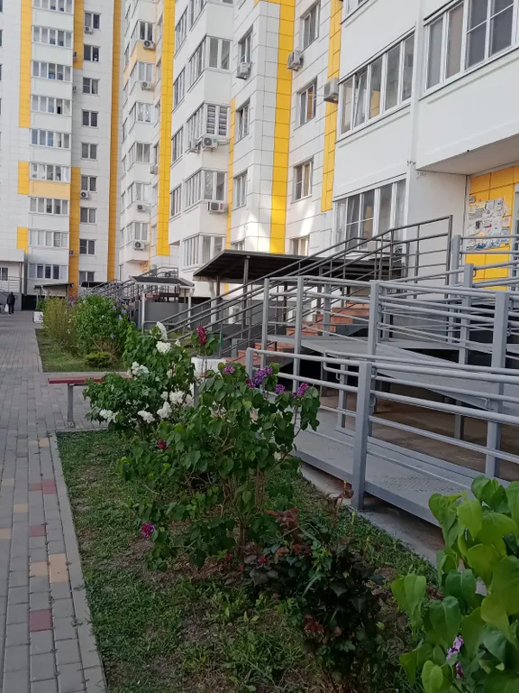 Студия для семьи в Горгиппии