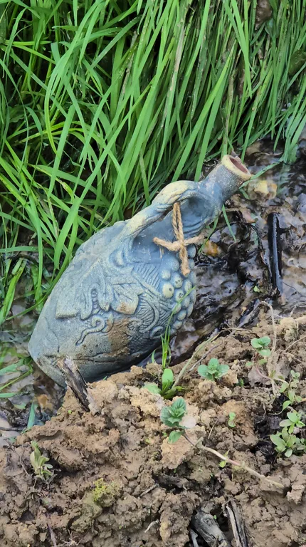 Дом у пруда