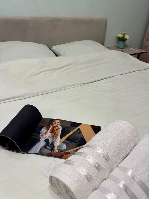 Квартира у Шоколадницы/Метросити