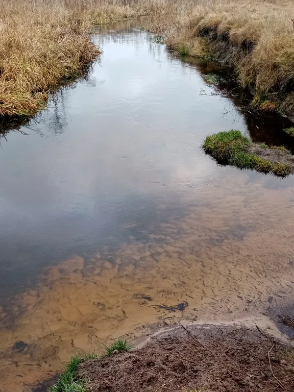 Усадьба в Беловежской пуще Пилигрим