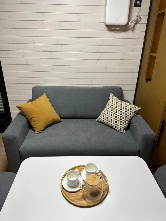 Эко-дом Студия Twin