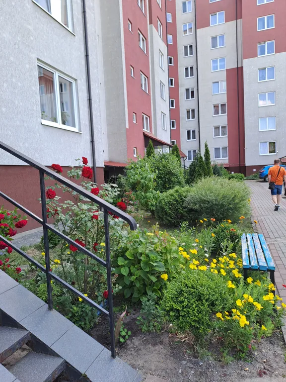 Квартира 1-комнатная Квартира — Светлогорск