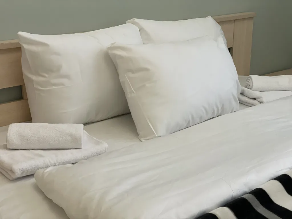 Двухкомнатные апартаменты с камином и террасой