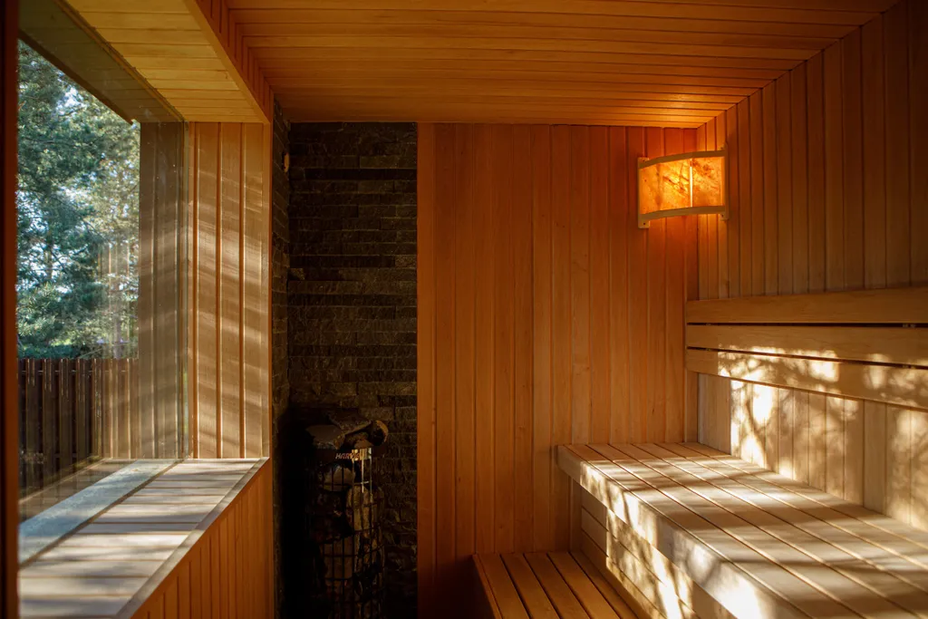 Дом с сауной и горячим чаном на участке с соснами