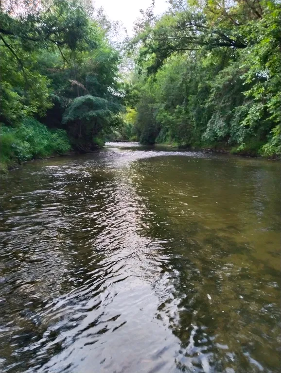 Домик для семейного отдыха на природе