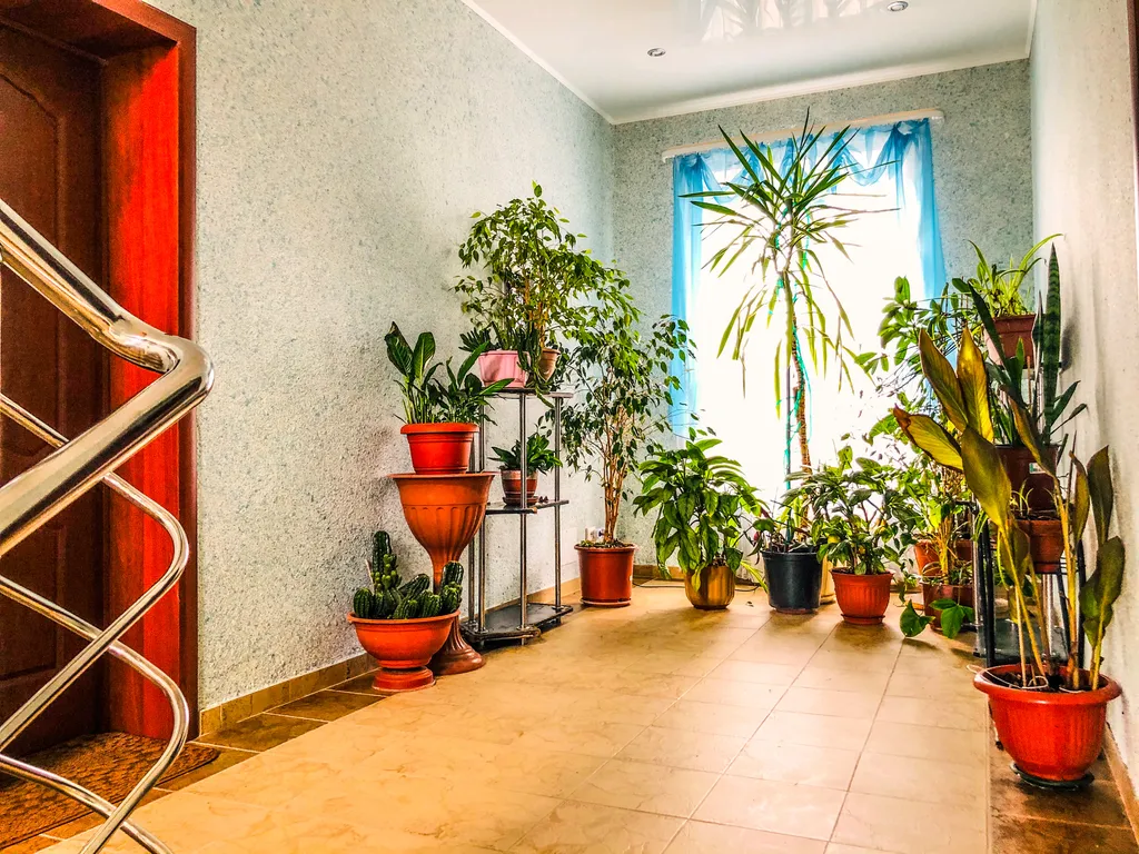 Семейная комната