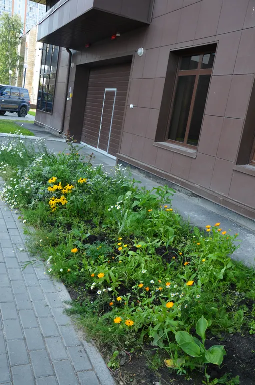 Уютная квартира в центральной части города с кондером