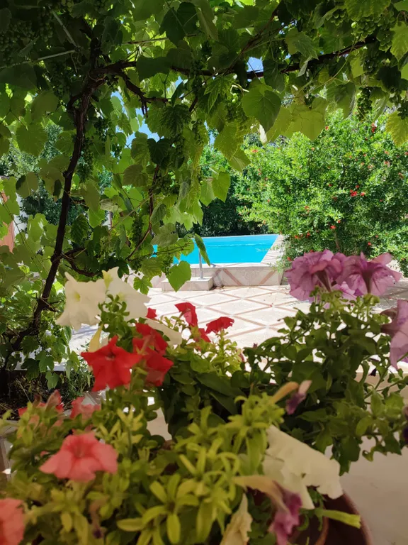 Квартира Комната — Судак