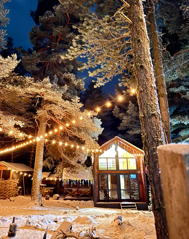 Уютный домик в лесу