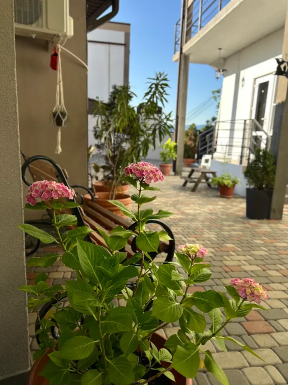 Двухместный стандарт на первом этаже