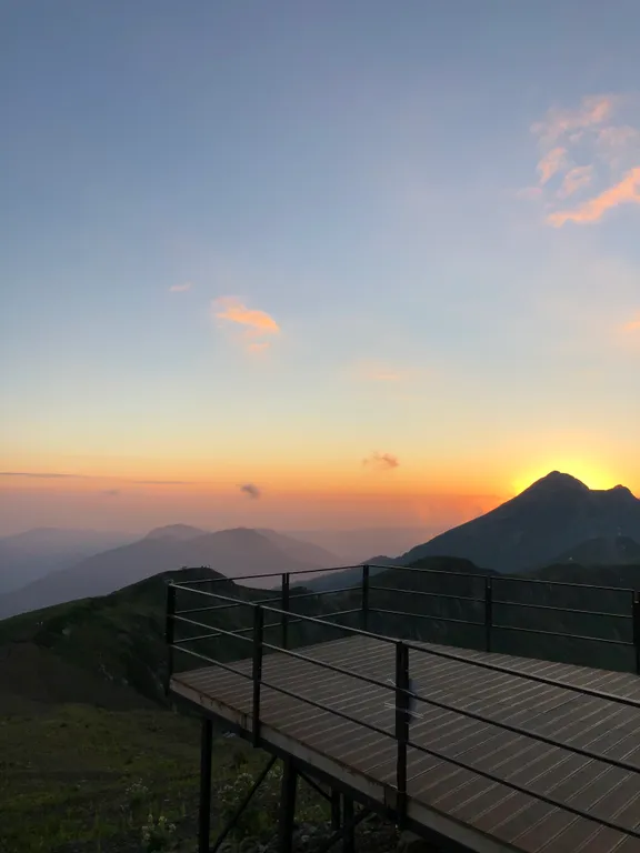 Квартира Уютная квартира с видом в парк — Сириус