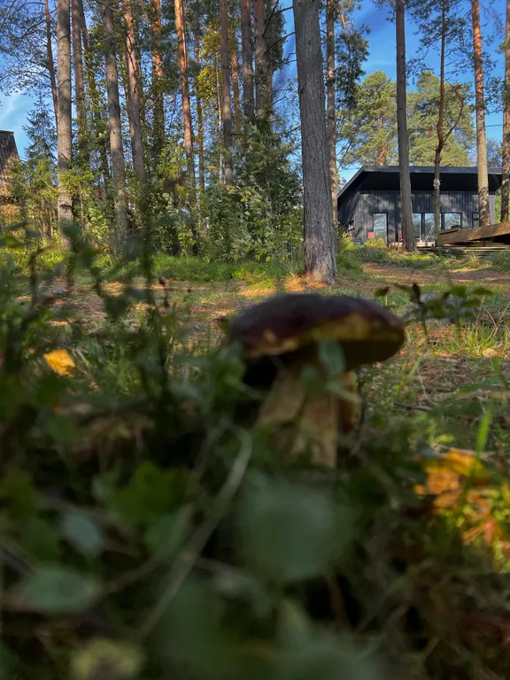 Стильный дом на берегу Ладожского озера с панорамным видом