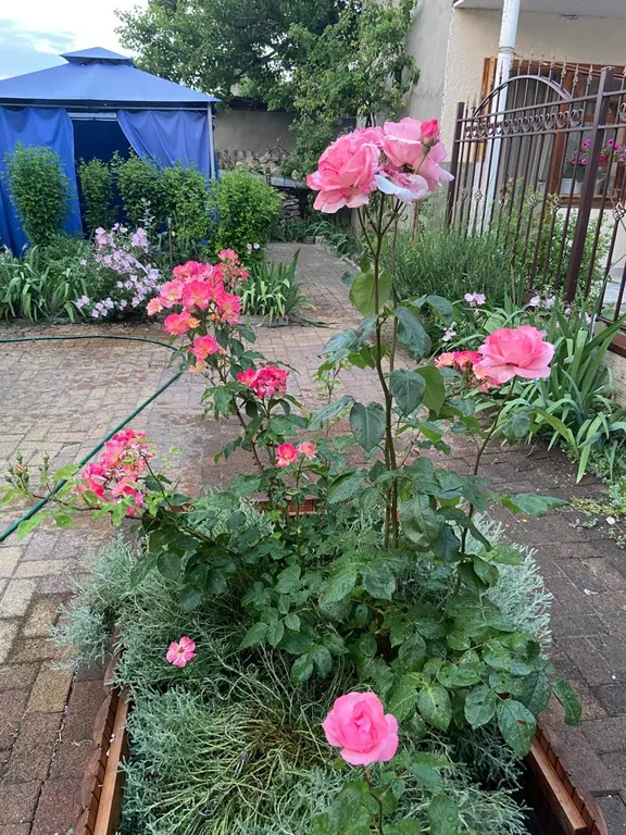 Уютный дом для семейного отдыха