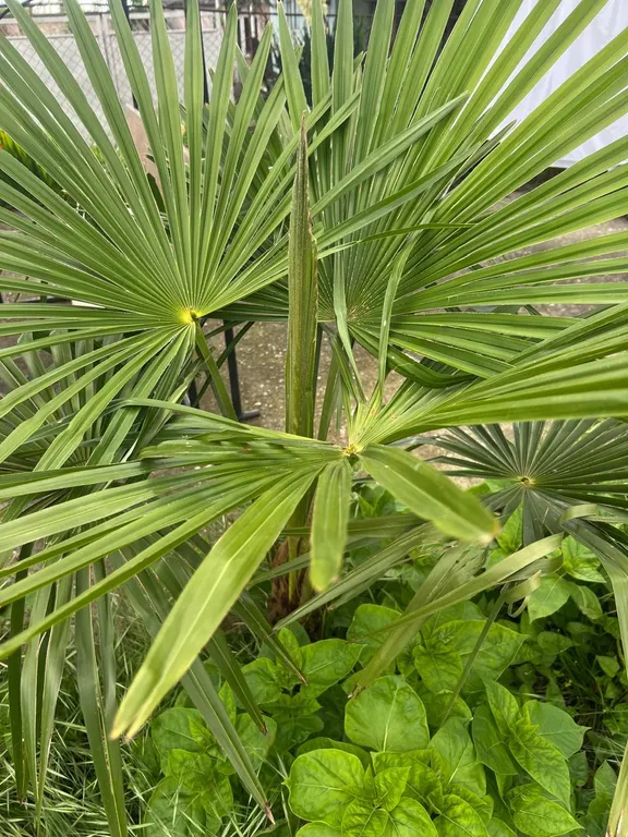 Комната прям у моря