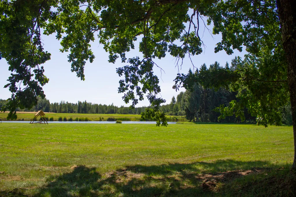 Дом с озером, река, лес