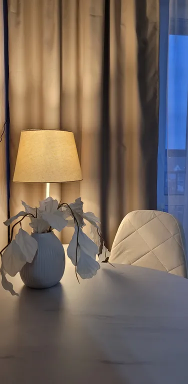 Квартира Апартаменты люкс с кондиционером-аэропорт Толмачёво 5 минут — Обь