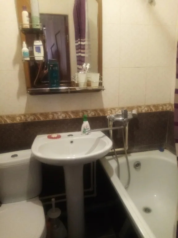 Квартира с ремонтом рядом с парком