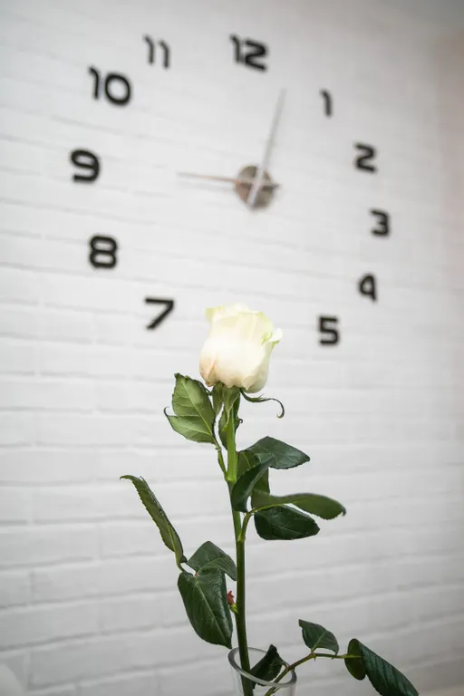 1 комн. с балконом большой кроватью