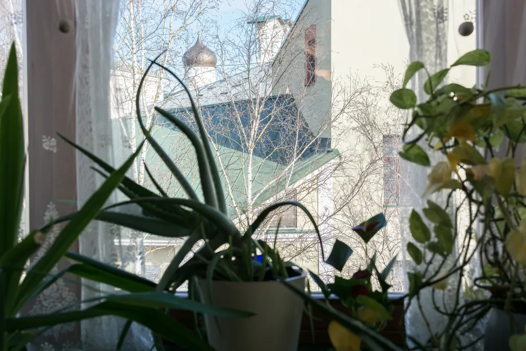 Квартира с видом на Кремль