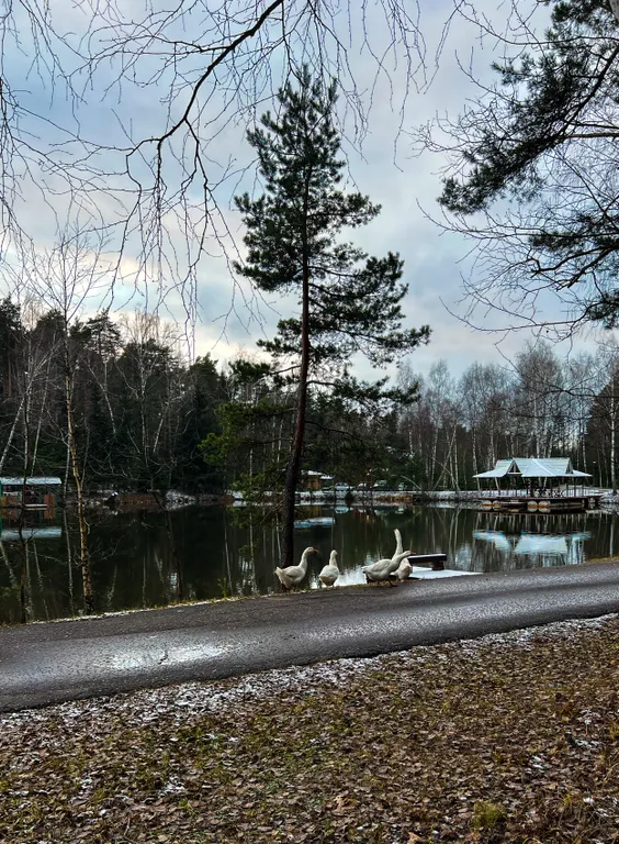 Большой коттедж с сауной в загородном комплексе отдыха бисерово