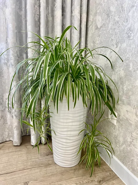 Квартира Уютная квартира с видом на Парк облаков — Краснодар