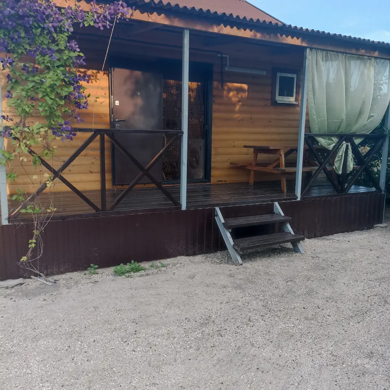 Дом без хозяев