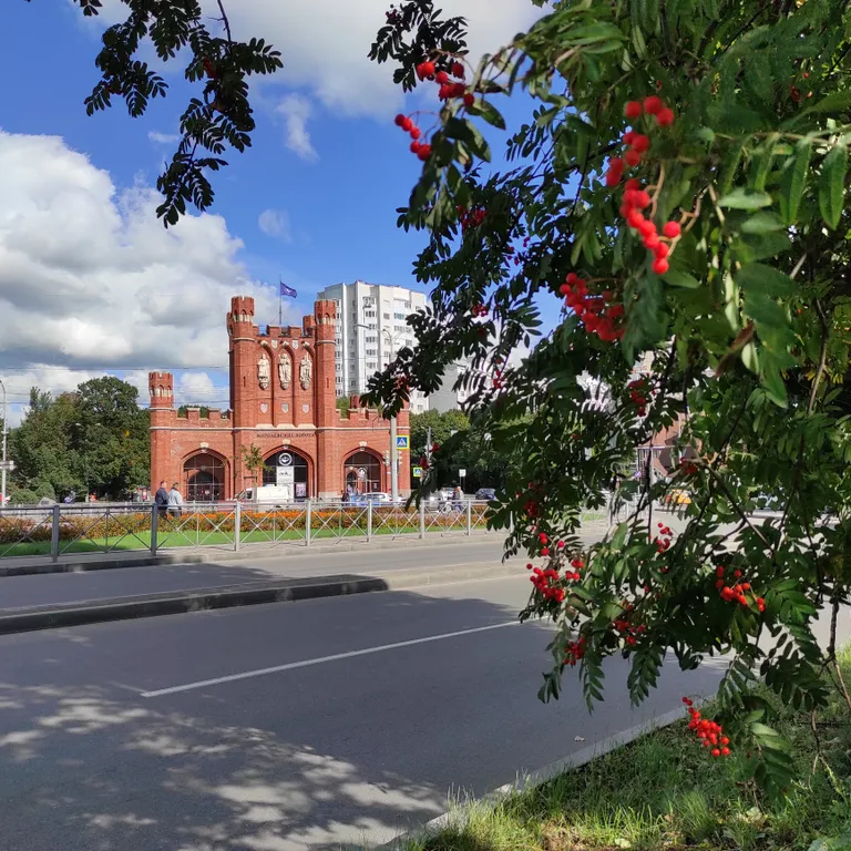Квартира Квартира у Королевских ворот — Калининград