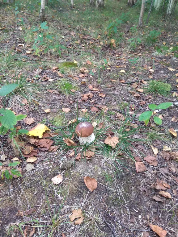 Апартаменты эконом на берегу озера Селигер