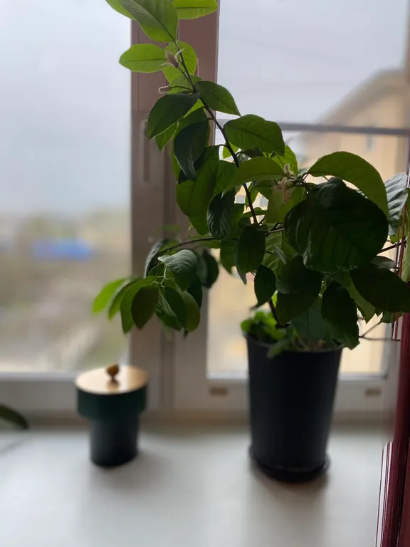 Квартира Атмосферная квартира — Санкт-Петербург