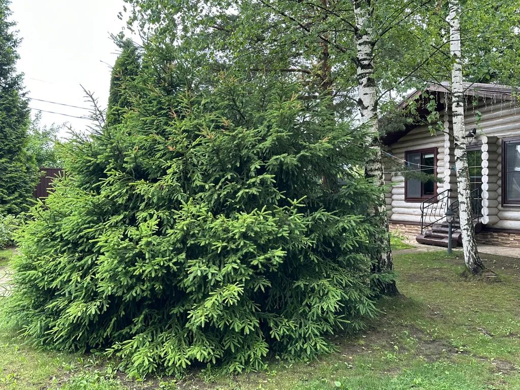 Шале с русской баней Релакс