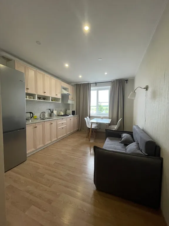 Просторная 1-комнатная квартира рядом с пляжем и отелем Radisson в Завидово