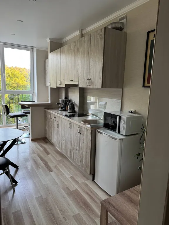 Квартира Апартаменты Дайкири — Светлогорск