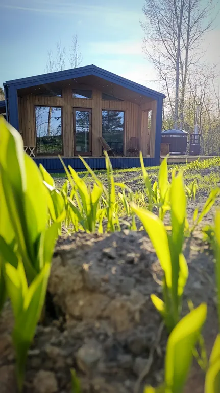 Гостевой дом Kielo