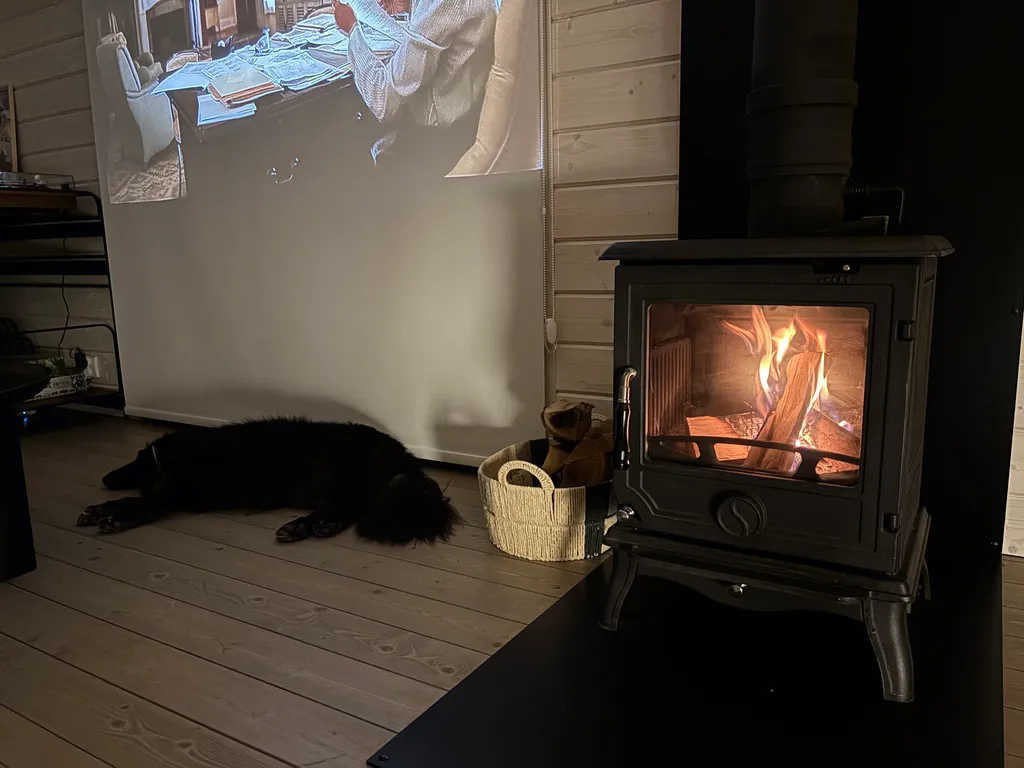 Стильный домик в лесу рядом с Икшинским водохранилищем