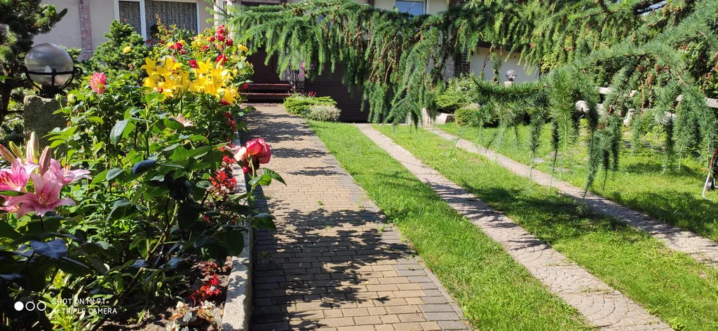 Студия в тихом уголке