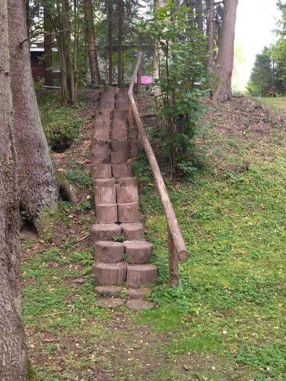 Коттедж Уютный дом в окружении векового леса — Рогачево