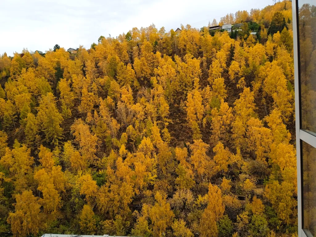 Новая уютная студия около заповедника Столбы