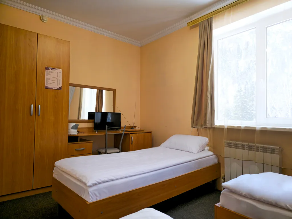 Стандарт с видом на горы (три раздельные кровати)