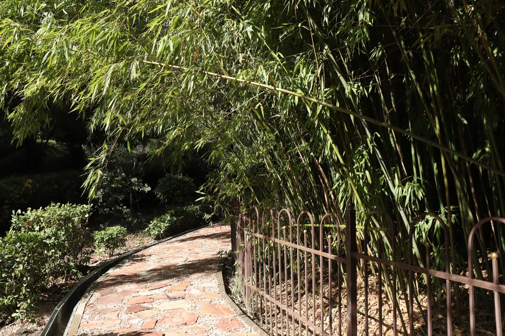 Апартамент у Массандровского парка в элитном районе Ялты