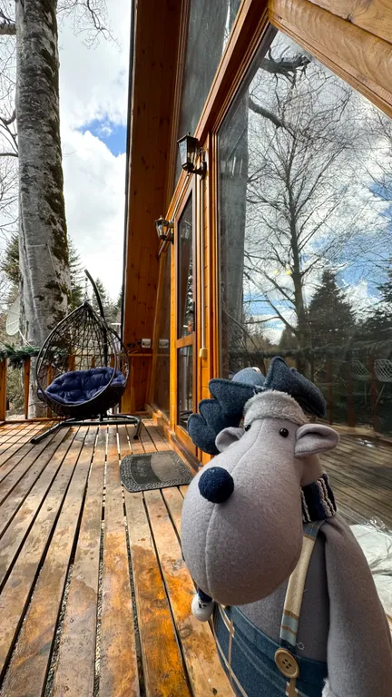 Треугольное шале