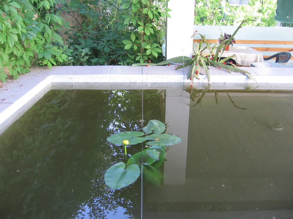 Отдельная часть дома возле бассейна с беседкой и кухней в саду