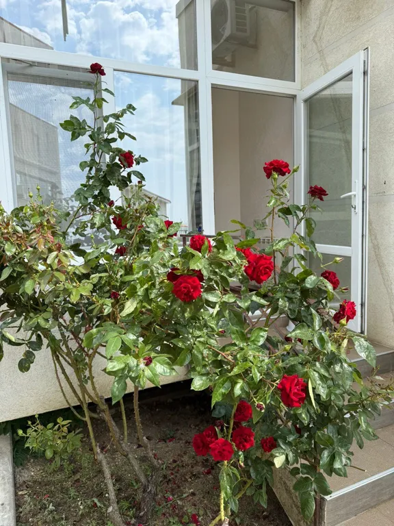 Апартаменты на берегу моря Kafa Real